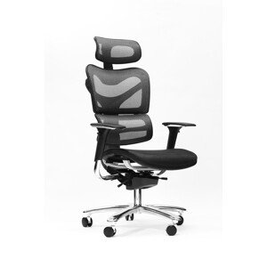 Spinergo MANAGER Spinergo - zdravotní židle pro náročné - šedá